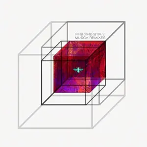 Musca Remixes 12"