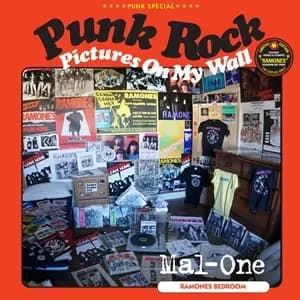punk rock pictures on my wall